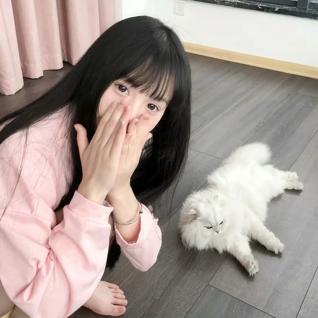 极限特工:终极回归